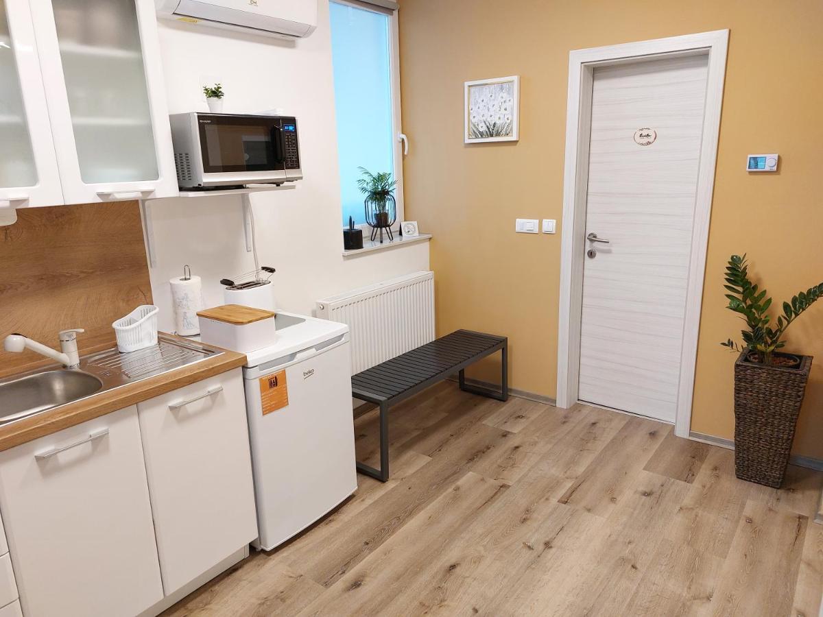 Apartments Alexandra Celje Ngoại thất bức ảnh